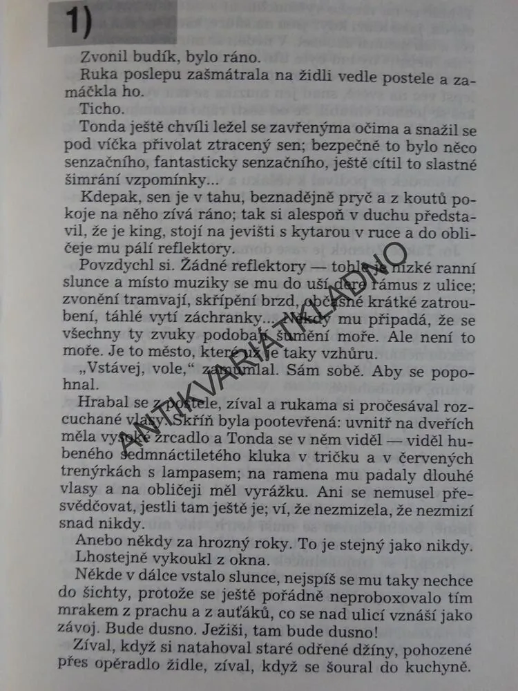 JEN JEDNOU DOSTAT ŠANCI, PAVEL FRÝBORT, **an