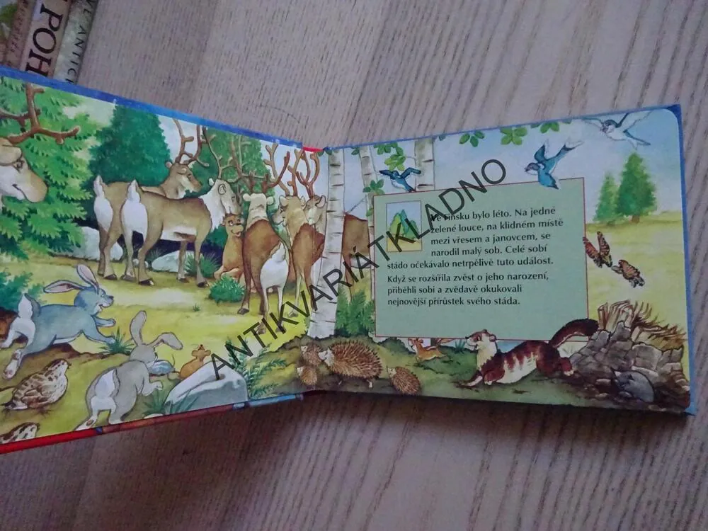 SANTA CLAUSŮV MALÝ SOB S ČERVENÝM NOSEM, **an