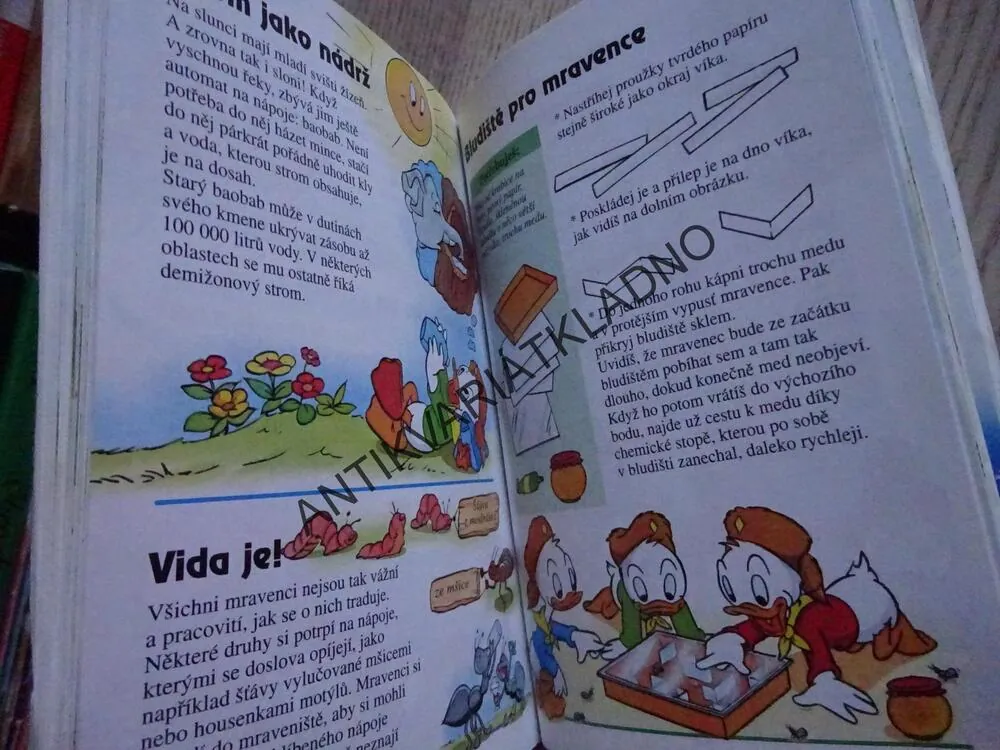ZÁPISNÍK MLADÝCH SVIŠŤŮ, WALT DISNEY, **an