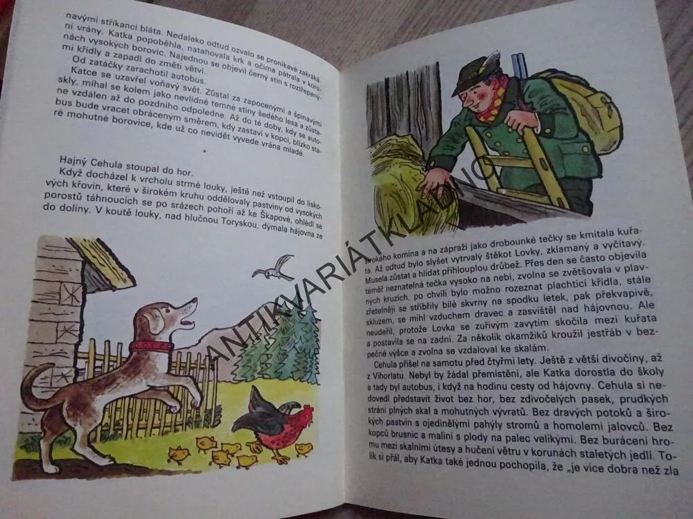 IS 58 - VYSOKO V HORÁCH, JOSEF POHL, ALENA JANOUŠKOVÁ