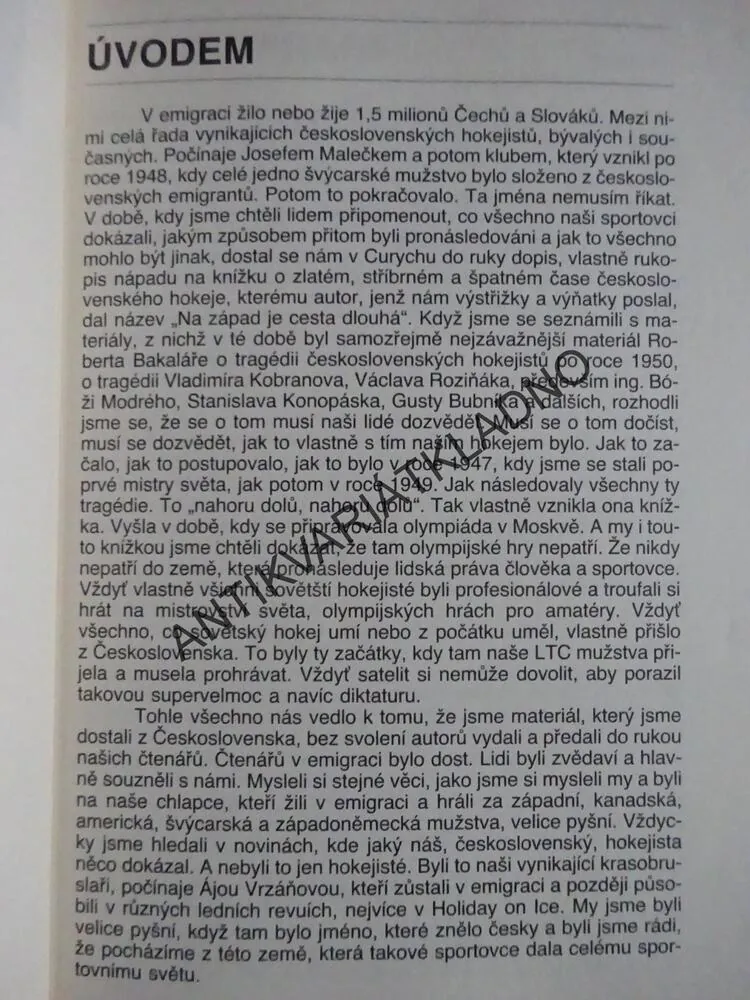 ZTRACENÁ LÉTA, PŘÍBĚH HOKEJOVÉHO ZLOČINU, SKUTINA, BAKALÁŘ, **an