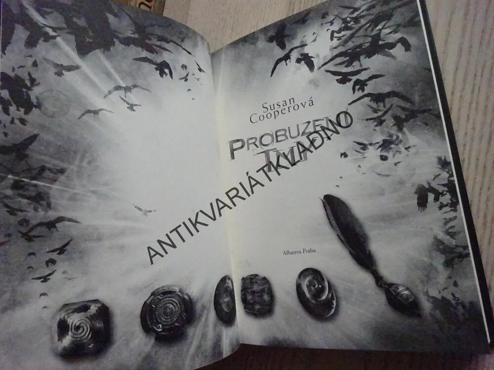 PROBUZENÍ TMY, SUSAN COOPEROVÁ, **an