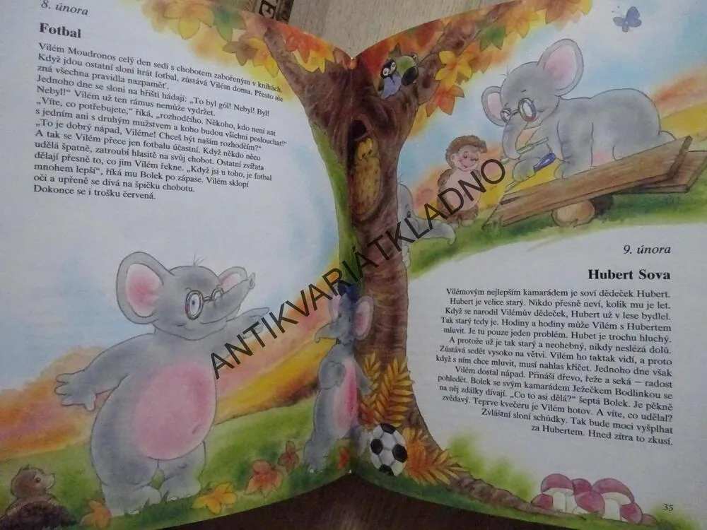 365 SLŮŇÁTEK, PŘÍBĚHY PŘED SPANÍM, **an