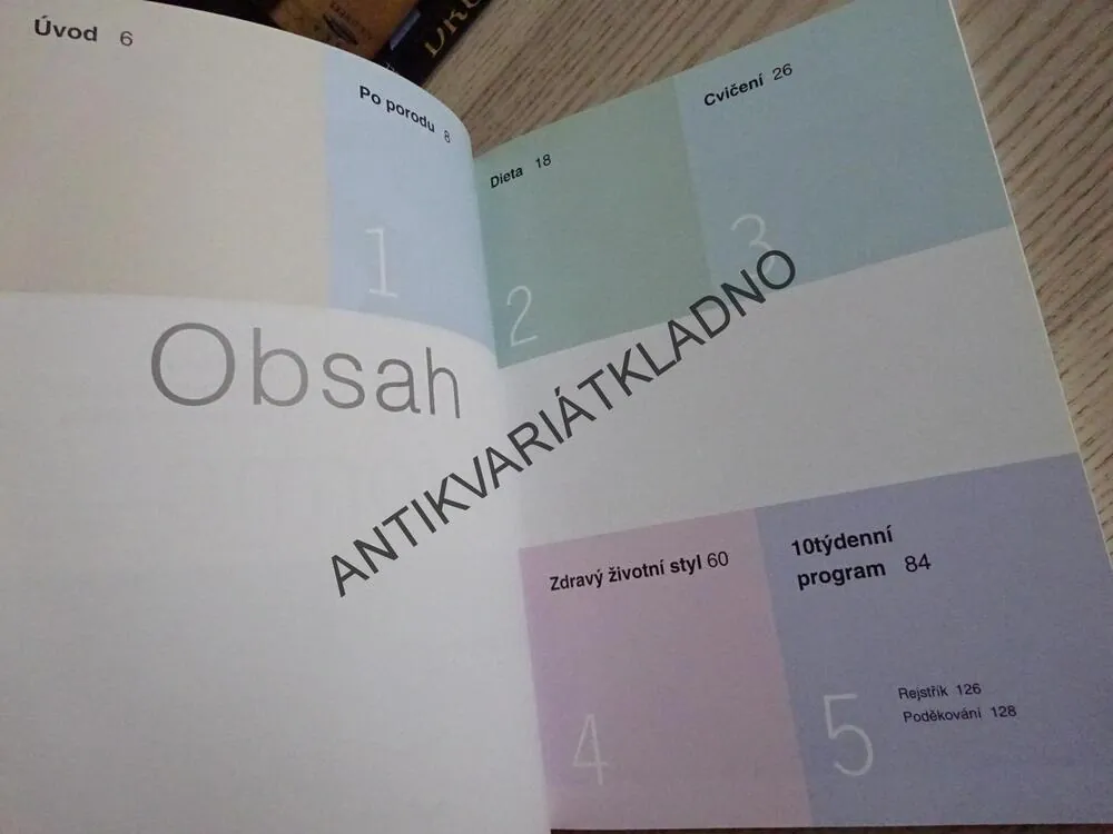 OPĚT VE FORMĚ, SALLY LEWISOVÁ, **an