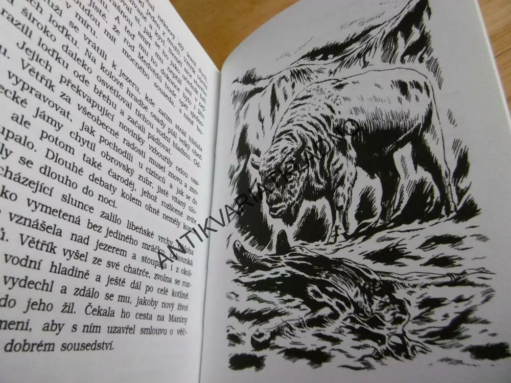 ČARODĚJŮV UČEDNÍK, EDUARD ŠTORCH, **an