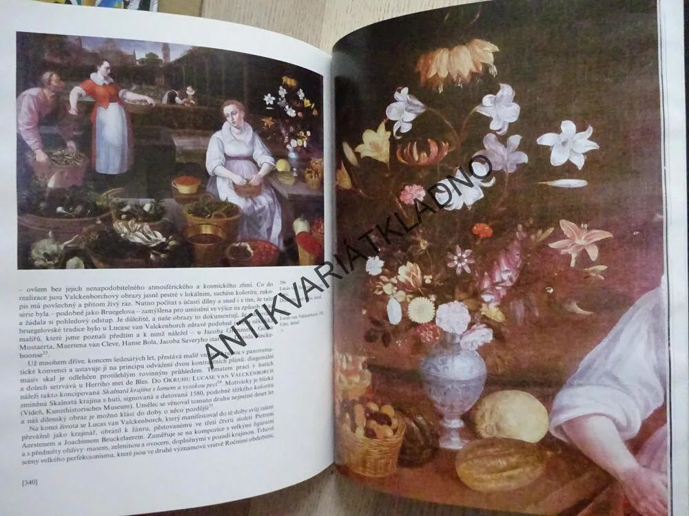 NIZOZEMSKÉ MALÍŘSTVÍ 15. A 16. STOLETÍ, JARMILA VACKOVÁ ,**an