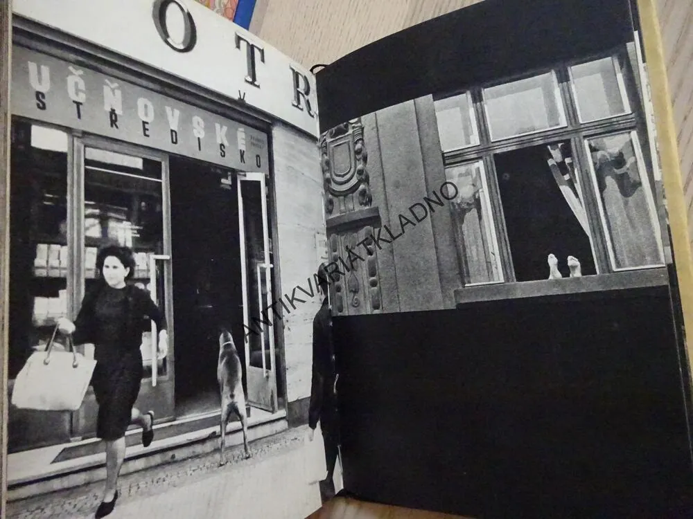 TOTO MĚSTO JE VE SPOLEČNÉ PÉČI OBYVATEL, MIROSLAV PETERKA, BOHUMIL HRABAL, **an