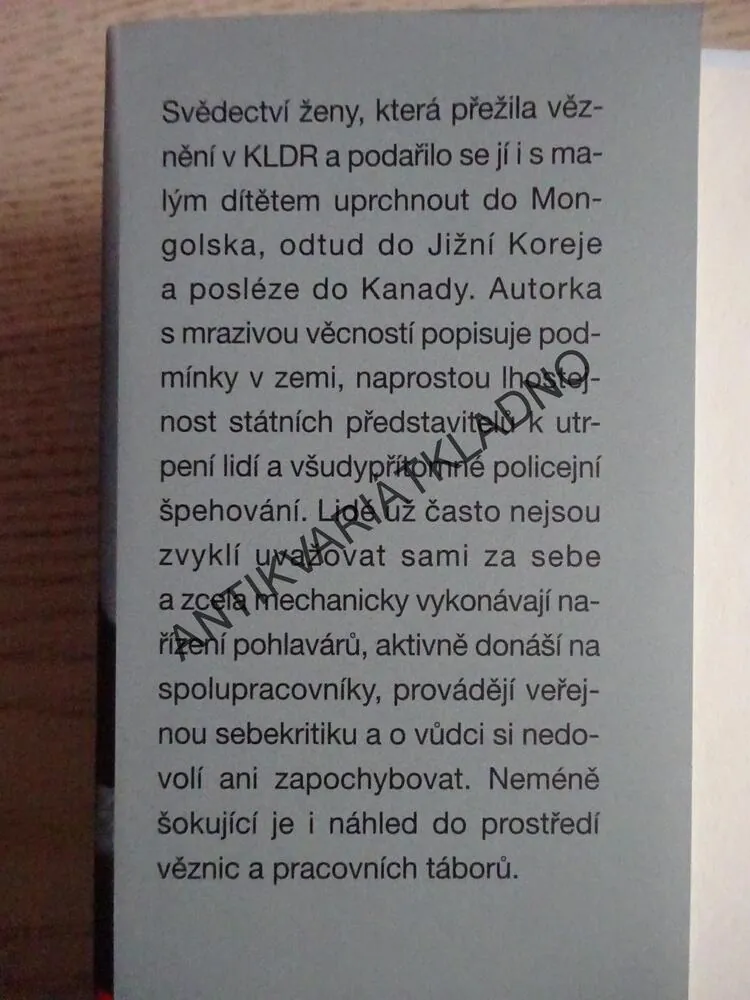 HVĚZDY MEZI SLUNCEM A MĚSÍCEM, LUCIA JANGOVÁ, SUSAN MCCLELLANDOVÁ, **an