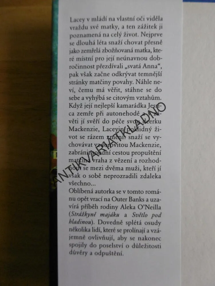 MATČIN STÍN, DIANE CHAMBERLAINOVÁ, **an