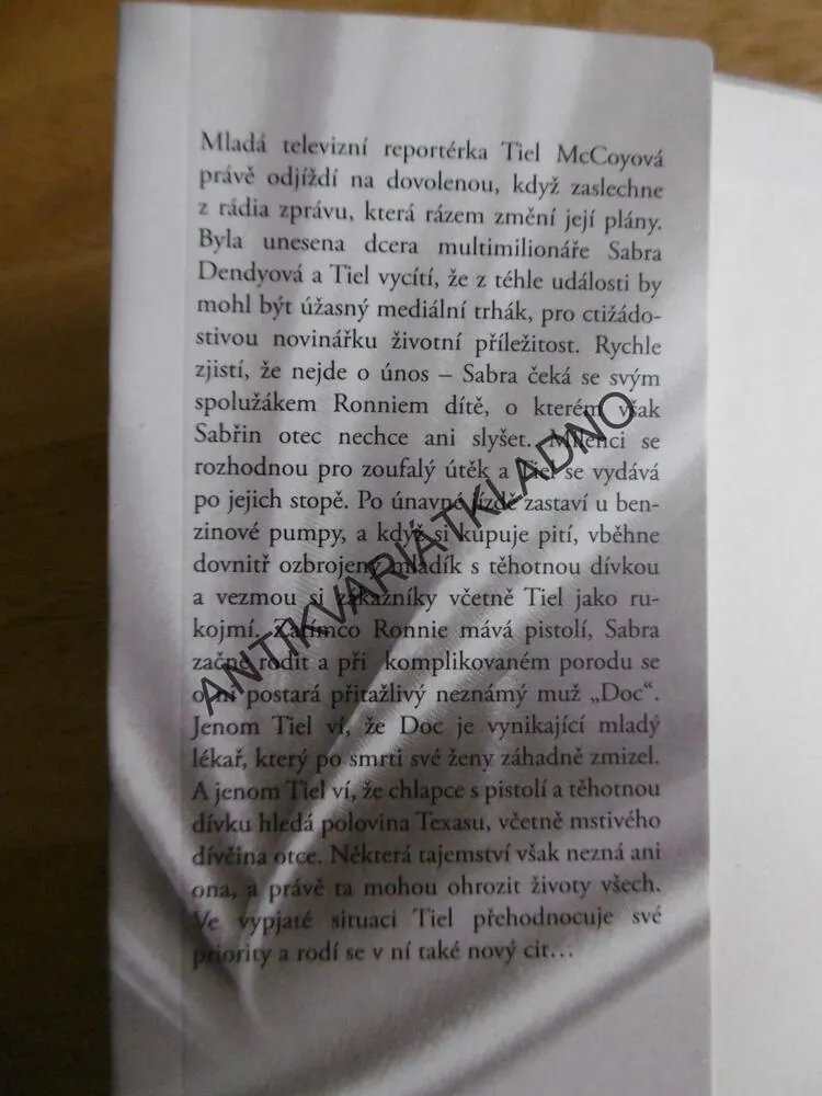 V ŠACHU, SANDRA BROWN, 