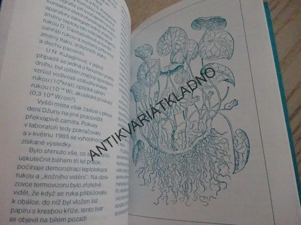 TAJEMNÝ SVĚT ZÁHAD, **an