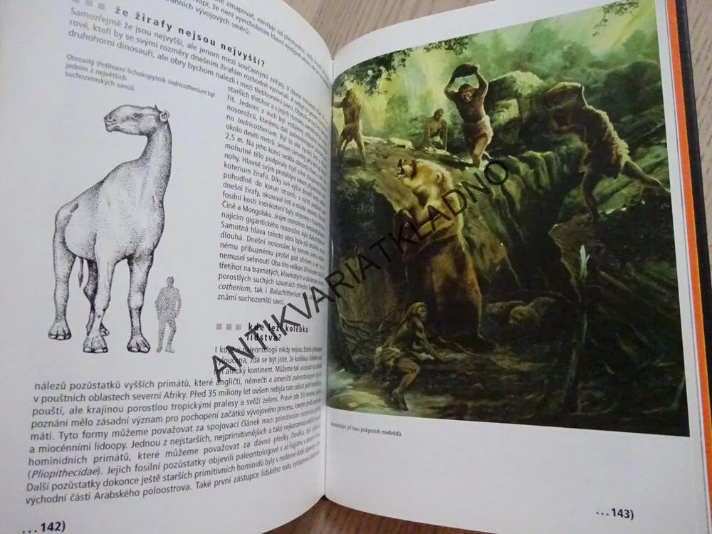JAK SE LOVÍ DINOSAUŘI ANEB CO NEVÍTE O HISTORII ZEMĚ, BOŘIVOJ ZÁRUBA, **an