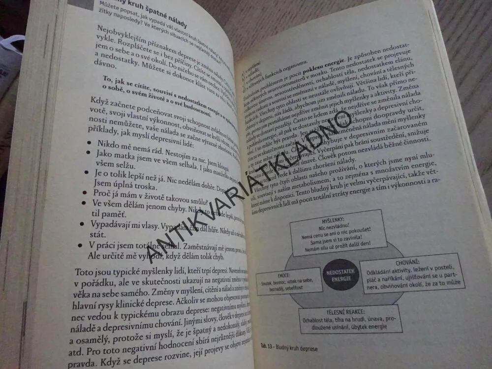 DEPRESE A JAK JI ZVLÁDAT, PRAŠKO, BULIKOVÁ,DEPRESE, PSYCHOLOGIE, **an