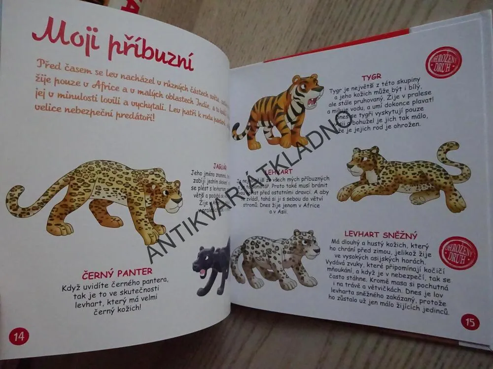 LEV, BYDLÍM V SAVANĚ 1, **an