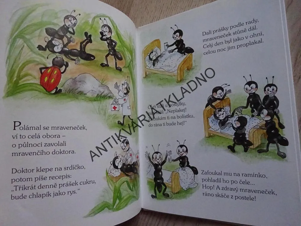 ŠEL ZAJÍČEK BRÁZDOU, **an