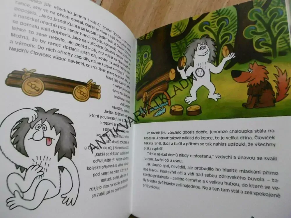 ČLOVÍČKOVA DOBRODRUŽSTVÍ, TEISINGER, VEČERNÍČEK, **an