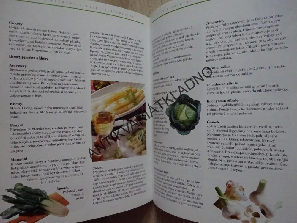 KUCHAŘŮV ROK: JARO, **an