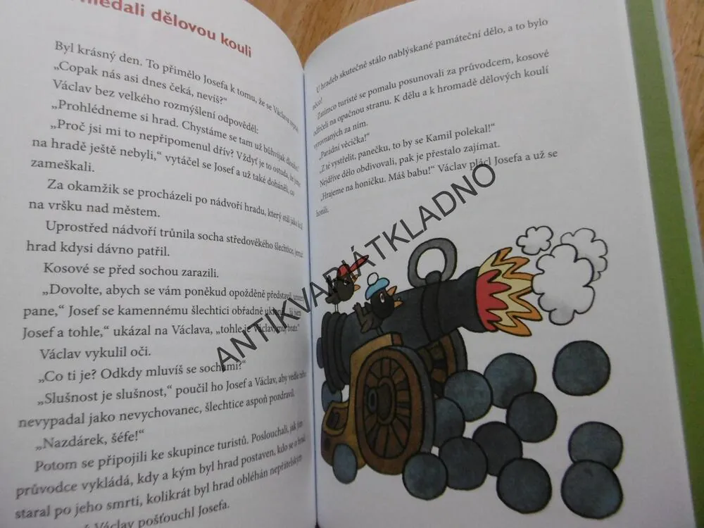 KOSÍ BRATŘI, STŘEDA, ŠEDIVÝ, VEČERNÍČEK, **an