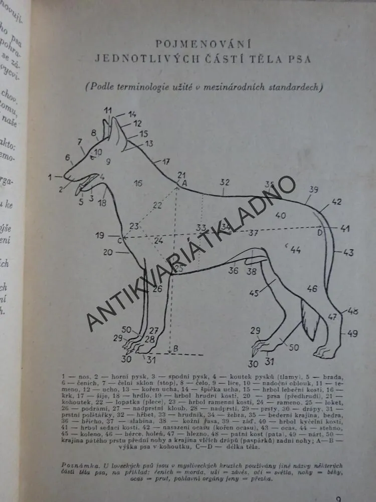 PLEMENNÉ STANDARDY UŽITKOVÝCH PSŮ, FRANTIŠEK HORÁK, KNIŽNICE KYNOLOGIE, **an