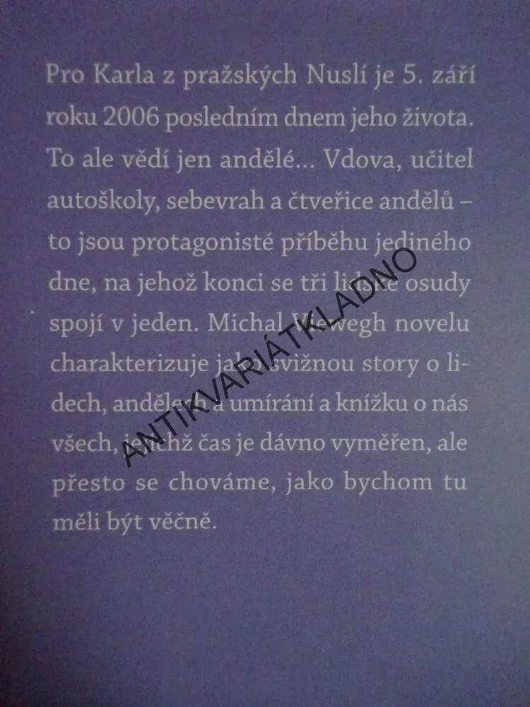 ANDĚLÉ VŠEDNÍHO DNE, MICHAL VIEWEGH, **an
