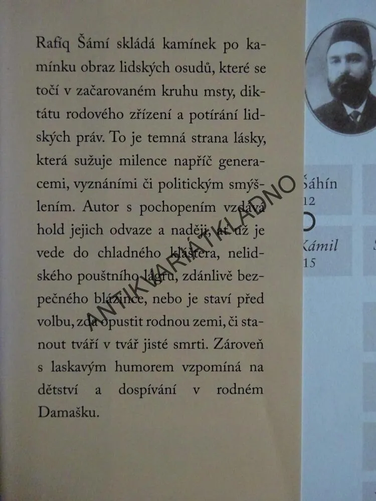 TEMNÁ STRANA LÁSKY, RAFÍQ ŠÁMÍ, **an