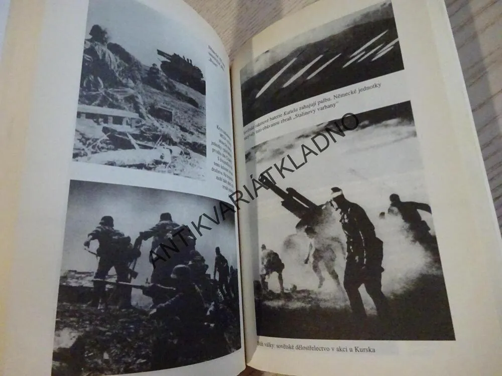 CITADELA, BITVA U KURSKA, ROBIN CROSS, **an