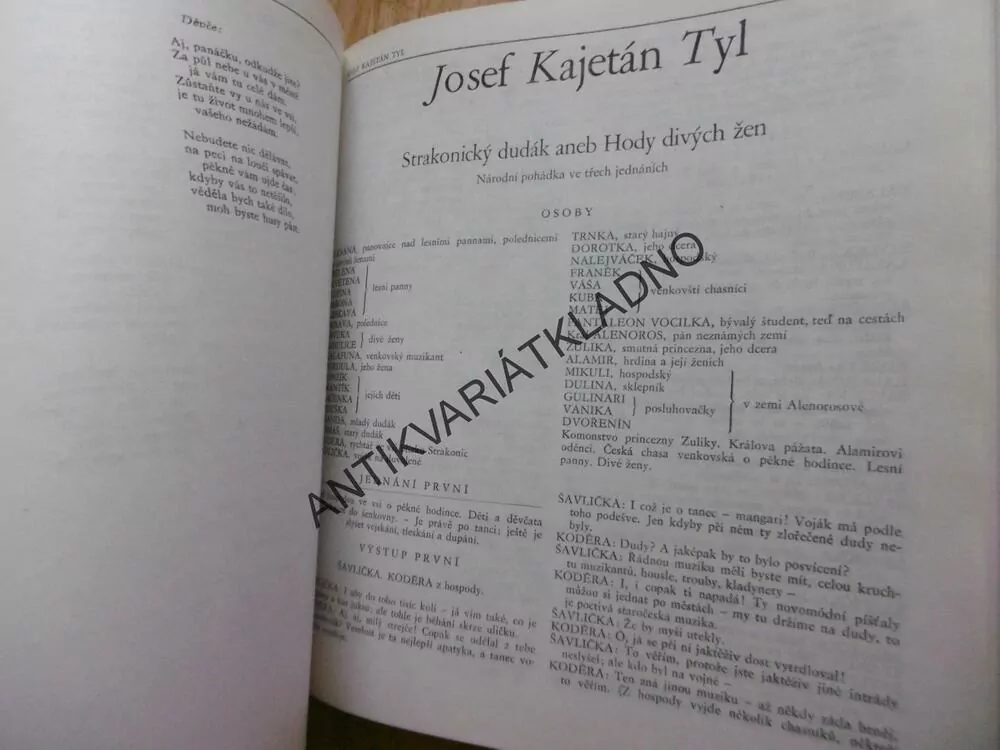 DOBA JOSEFA MÁNESA V ZRCADLE LITERATURY, JOSEF  MÁNES, **an