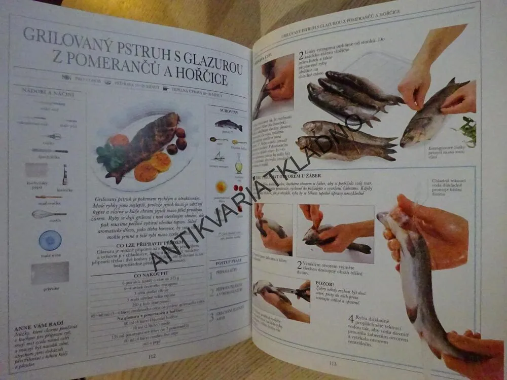 DÍVEJ SE A VAŘ, RYBY, ANNE WILLANOVÁ, **an