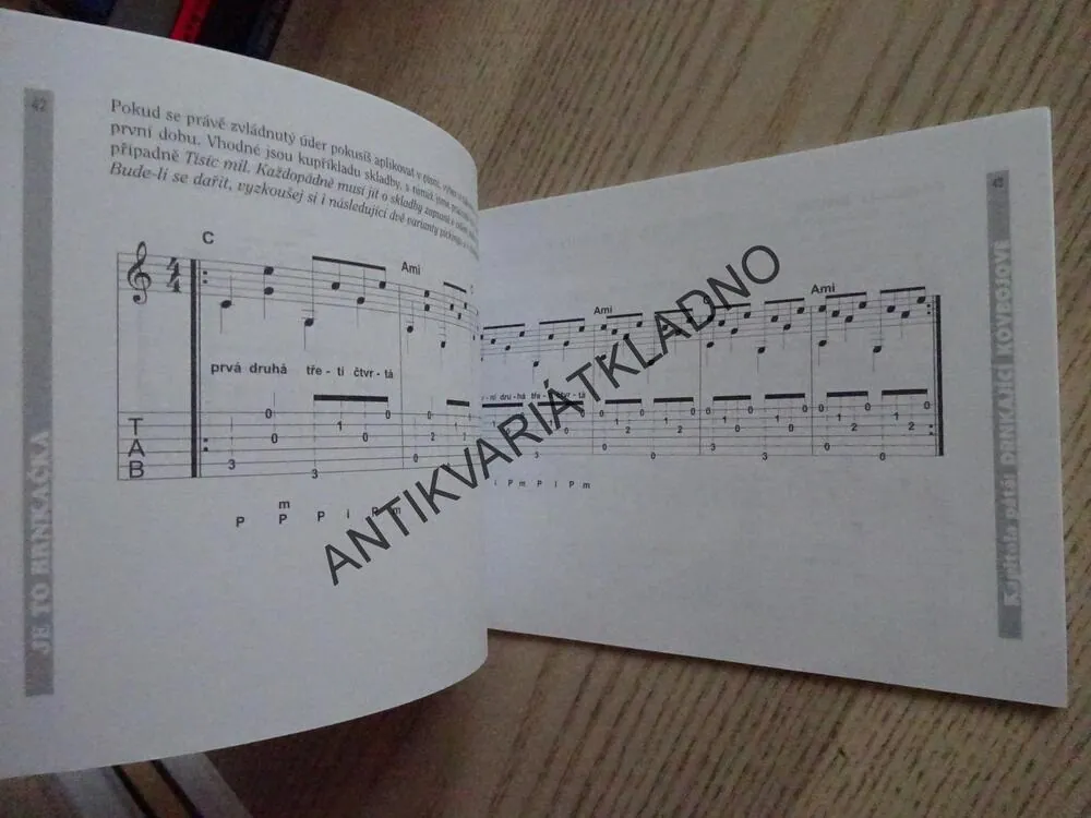 JE TO BRNKAČKA, PRAVÁ RUKA KYTARISTY