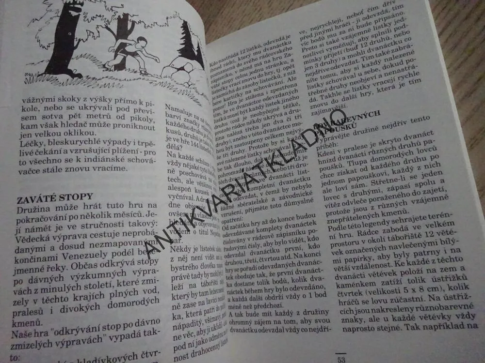 SKAUTSKÉ HRY V PŘÍRODĚ, SKAUT, JUNÁK,