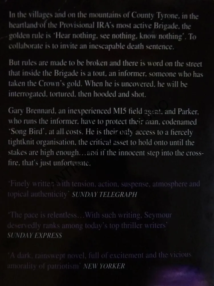 THE JOURNEYMAN TAILOR, GERALD SEYMOUR, **an