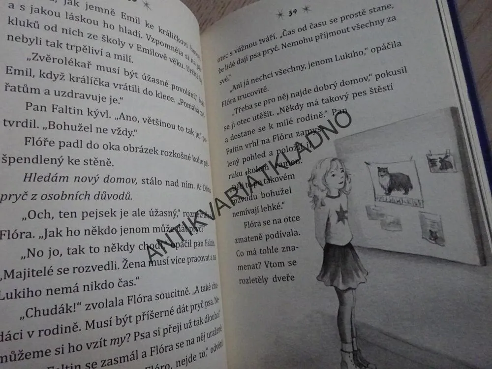 SOVÍ KOUZLO, NOVÝ KAMARÁD PRO GOLDWING, INA BRANDTOVÁ, **an