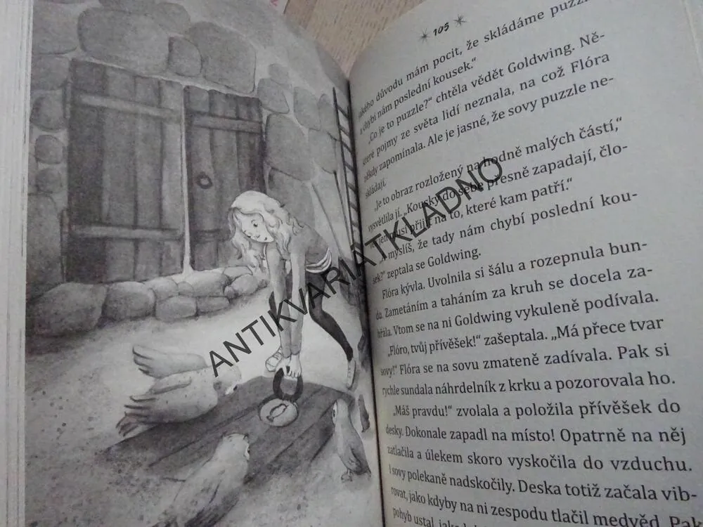 SOVÍ KOUZLO, TAJUPLNÝ DRAHOKAM, INA BRANDTOVÁ, **an