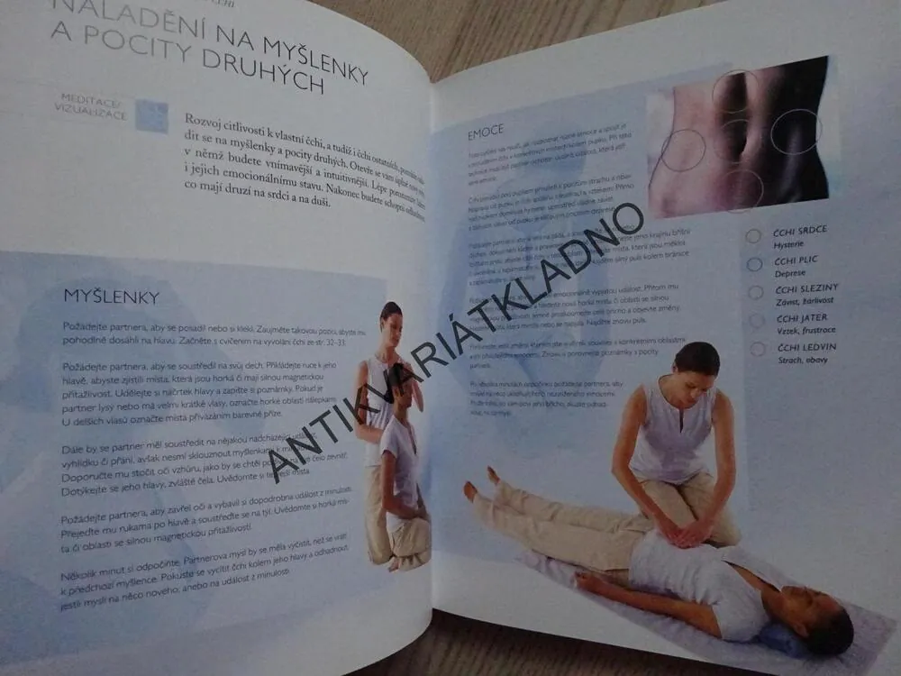 ČÍNSKÁ MEDICÍNA V PRAXI, SIMON G. BROWN, **an