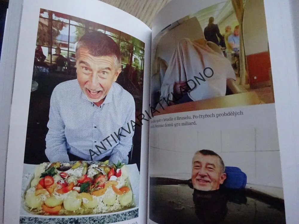 SDÍLEJTE, NEŽ TO ZAKÁŽOU!, ANDREJ BABIŠ, **an