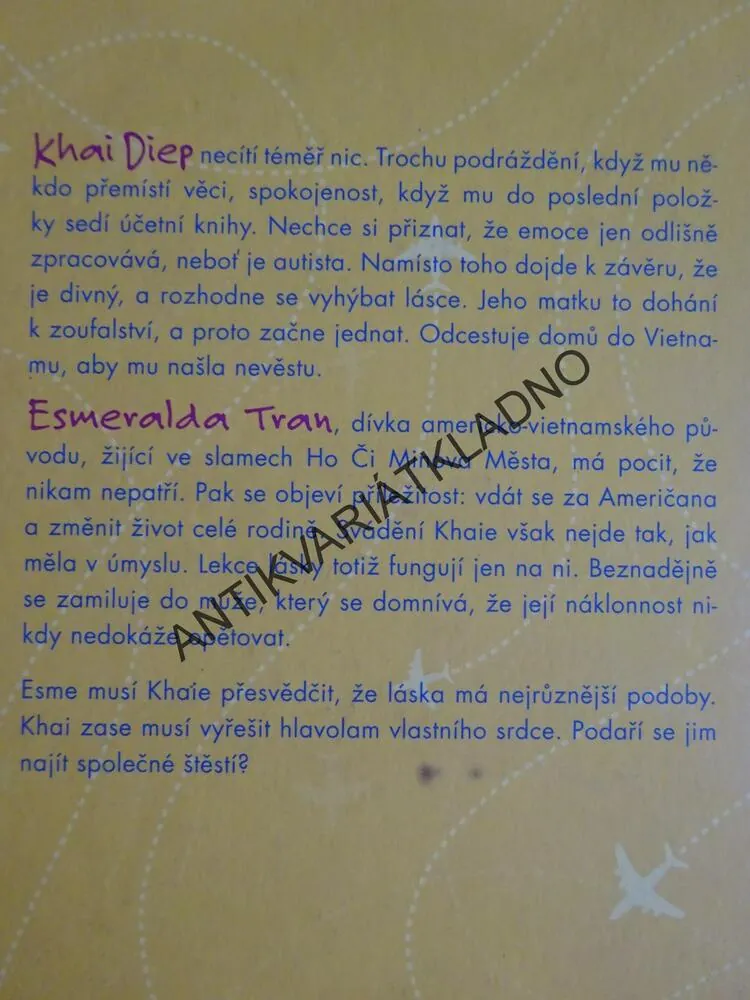 KONKURZ NA NEVĚSTU, HELEN HOANGOVÁ, **an