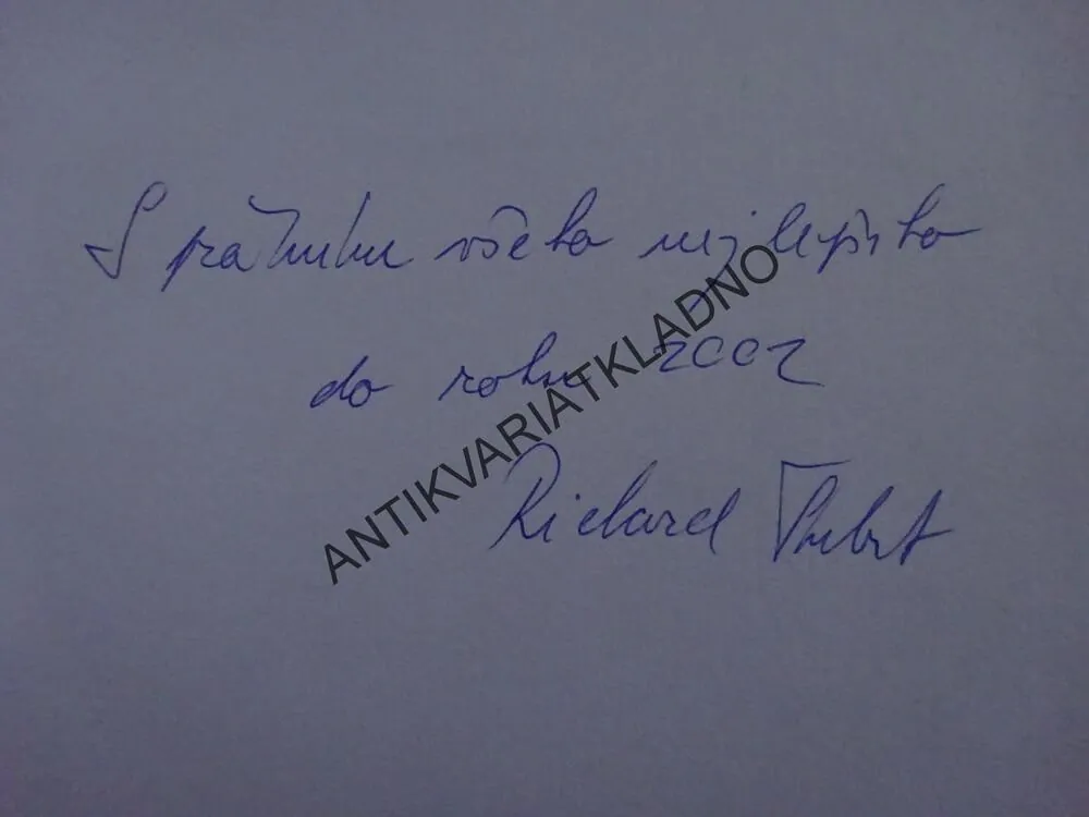 DIVADLO NA VINOHRADECH V OSMDESÁTI OBRAZECH, MARTIN ZAHÁLKA, **an