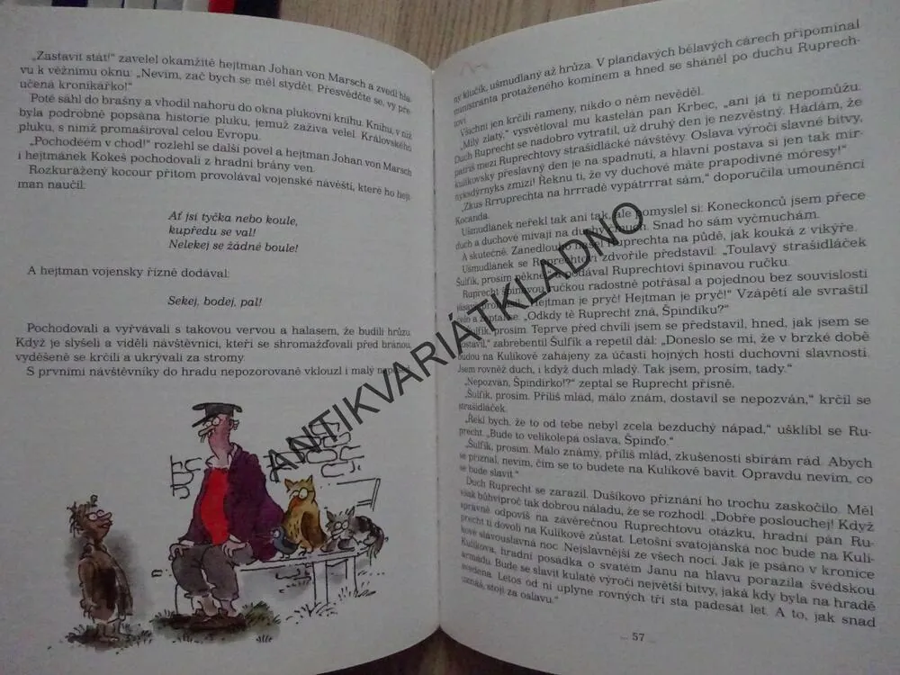 STRAŠIDLA NA KULÍKOVĚ, PETR CHVOJKA, STANISLAV HAVELKA, **an
