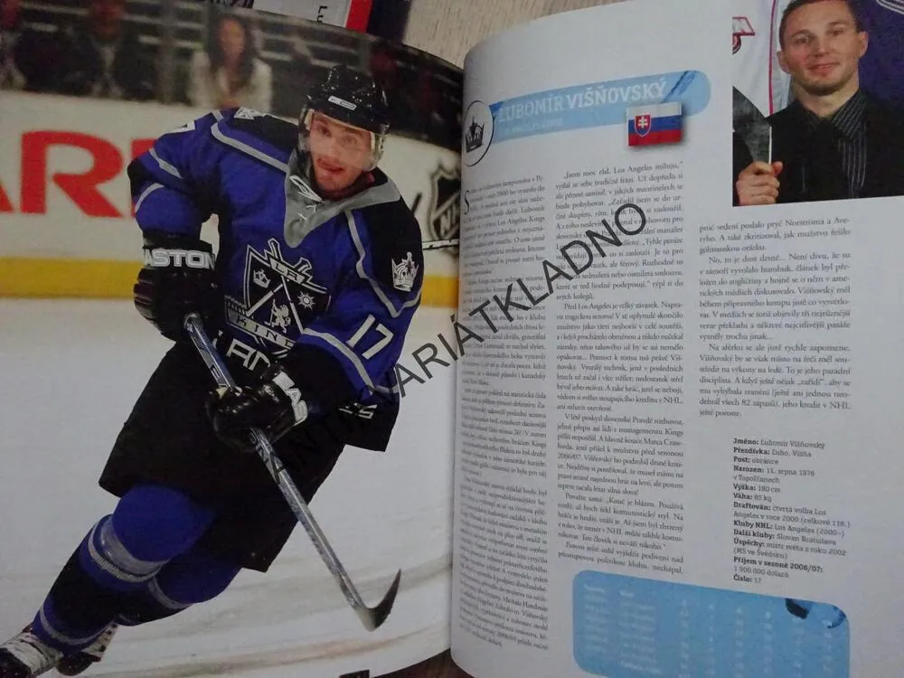 HVĚZDY NHL 2008, ČEŠI A SLOVÁCI V SEZONĚ 2006/07, LEDNÍ HOKEJ, **an