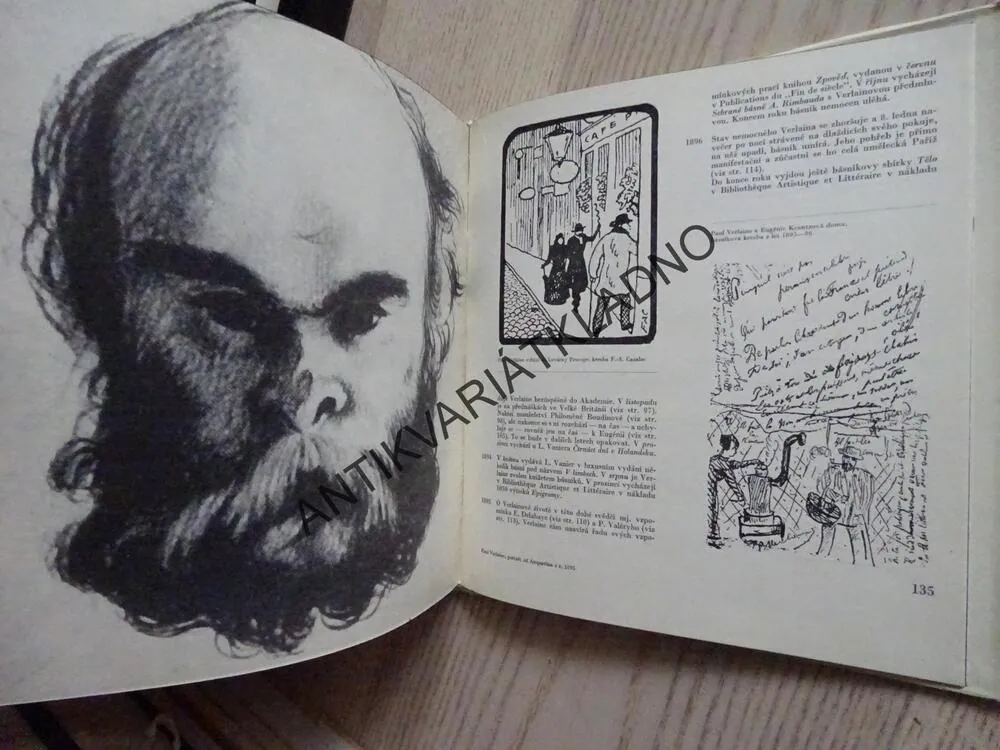 SLOVA NA STRUNÁCH, PAUL VERLAINE, **an