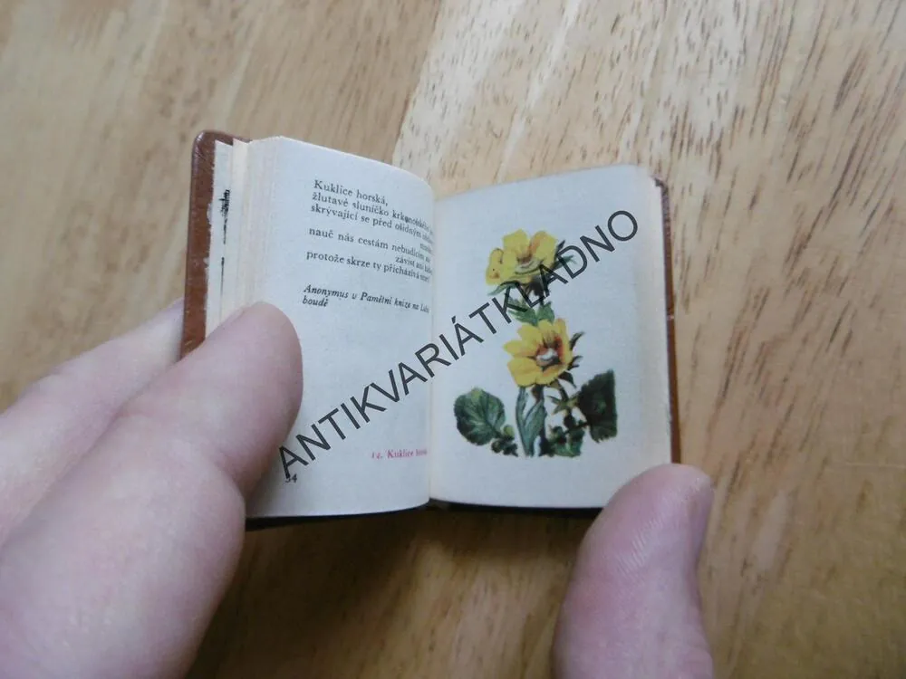 KRAKONOŠŮV HERBÁŘ, MINI KNÍŽEČKA, KVĚTINY, BLAŽKOVÁ,PULEC,1966