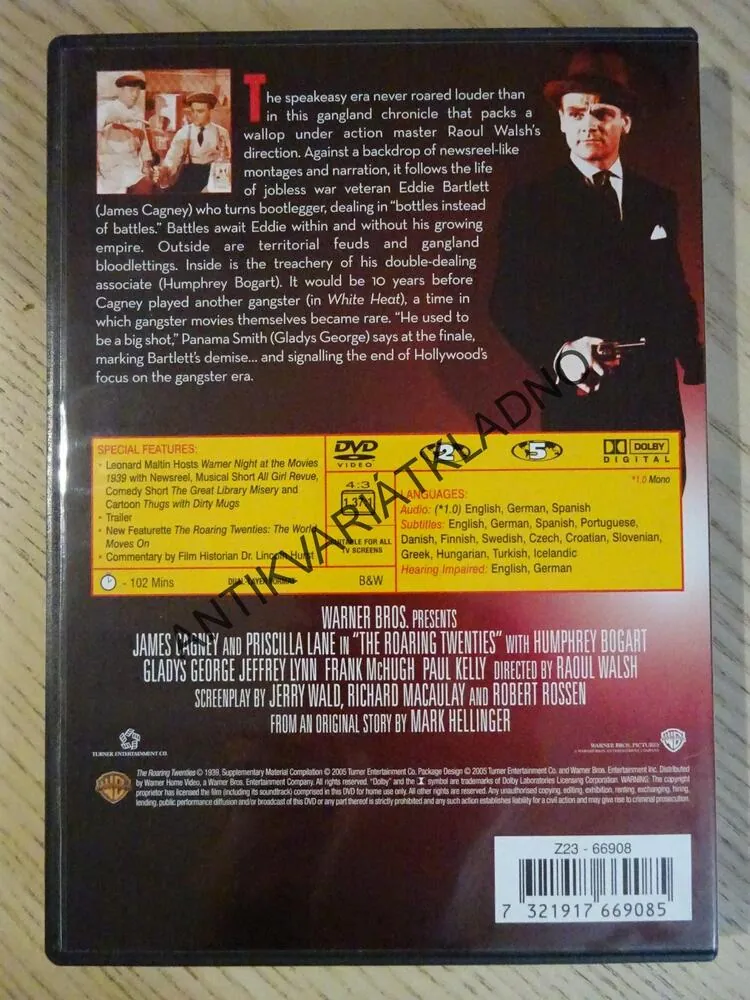 BOUŘLIVÁ DVACÁTÁ LÉTA, DVD FILM