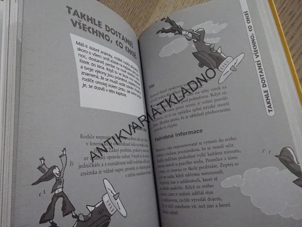 JAK PŘEŽÍT ŠKOLNÍ LÉTA, KARIN KAMPWERTHOVÁ, **an