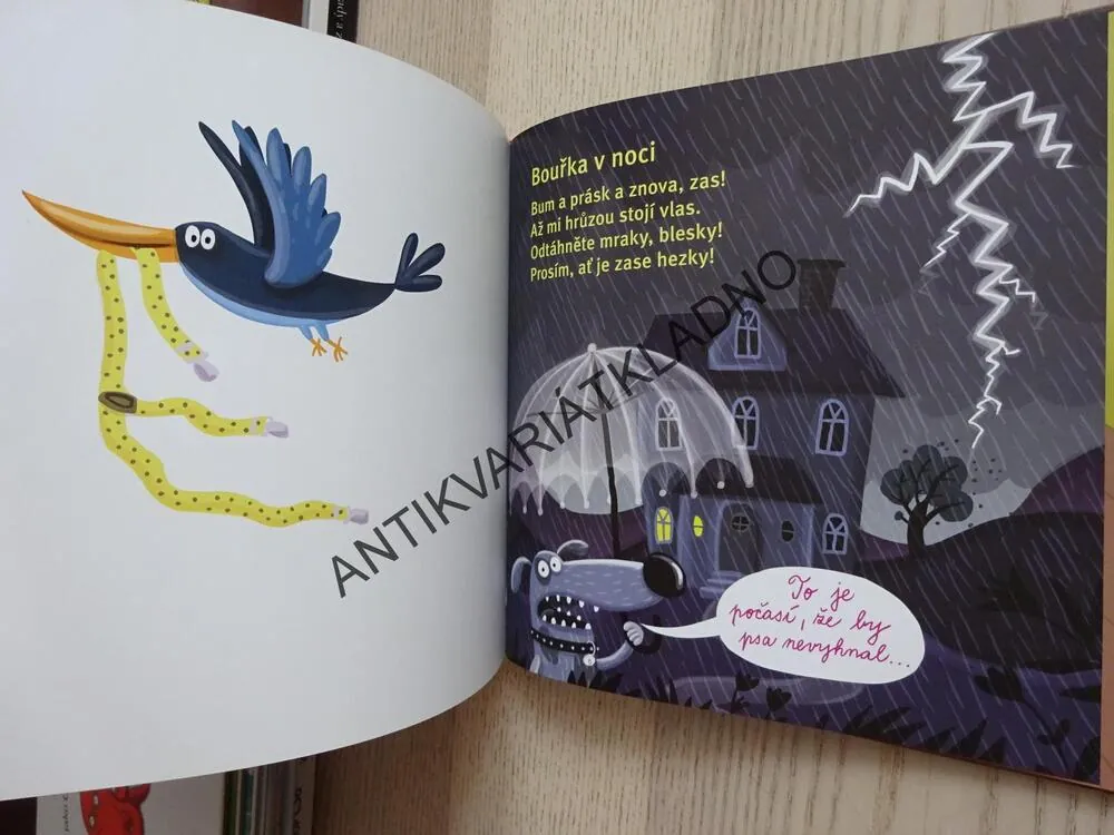 POHOZENÉ KŠANDY KAMARÁDA STANDY, DAGMAR KÝROVÁ, ANETA ŽABKOVÁ, **an