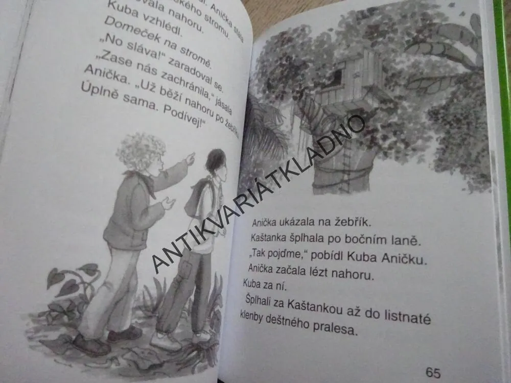 DOBRODRUŽSTVÍ V PRALESE, MARY POPE OSBORNOVÁ, **an