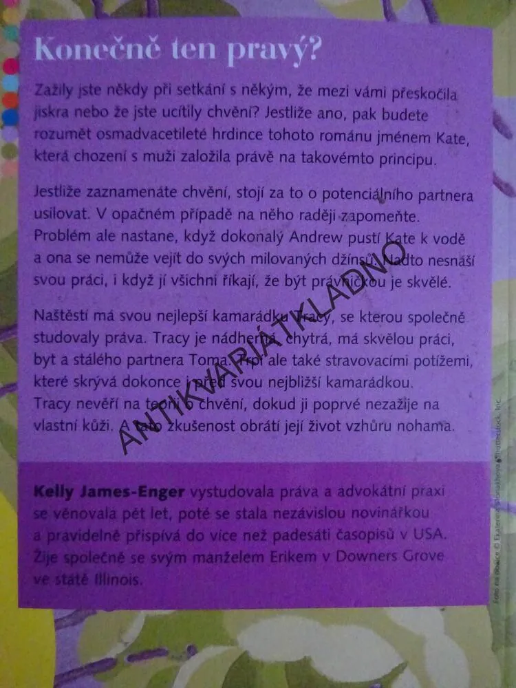 KONEČNĚ TEN PRAVÝ?, KELLY JAMES-ENGER, **an