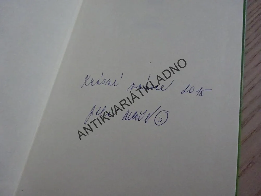 ZÁCHRANÁŘI V AKCI, J. BURCHETT, S. VOGLER, **an