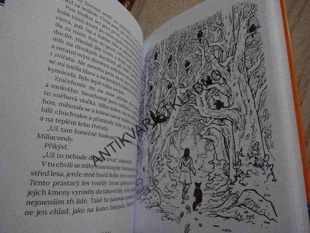 DIVOČARKA, ZKOUŠKA OHNĚM, LENE KAABERBOLOVÁ, **an
