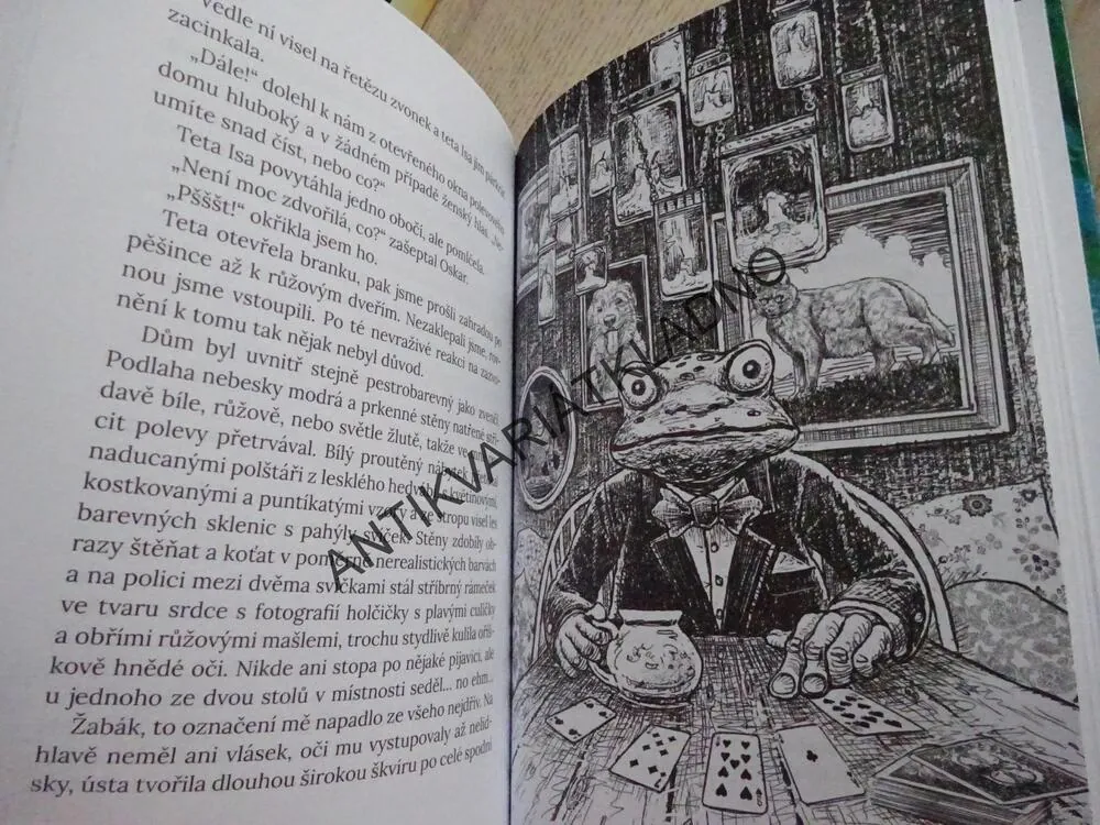 DIVOČARKA, DCERA KRVE, LENE KAABERBOLOVÁ, **an