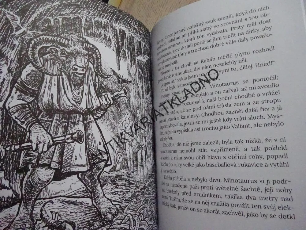 DIVOČARKA, KREV NEPŘÍTELE, LENE KAABERBOLOVÁ, **an